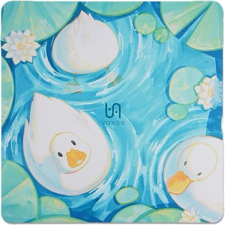 广西柳州科目三