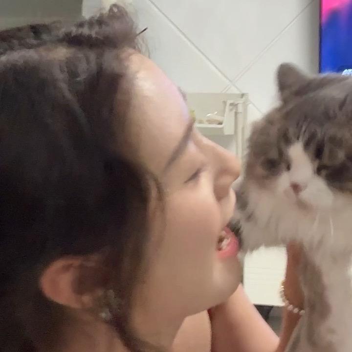 达咩咩咩🐑