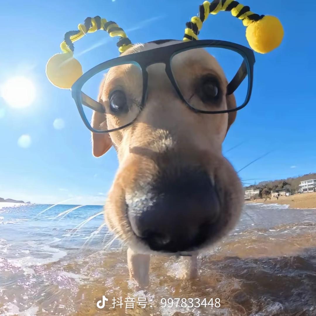 可可+小米米粑粑