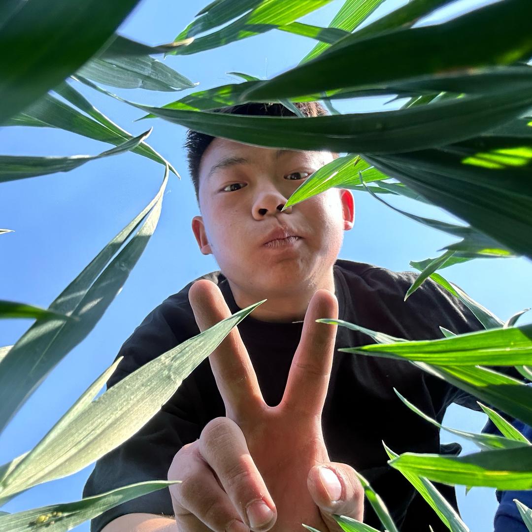 零三年回村种地的日常（挑战买A6！）