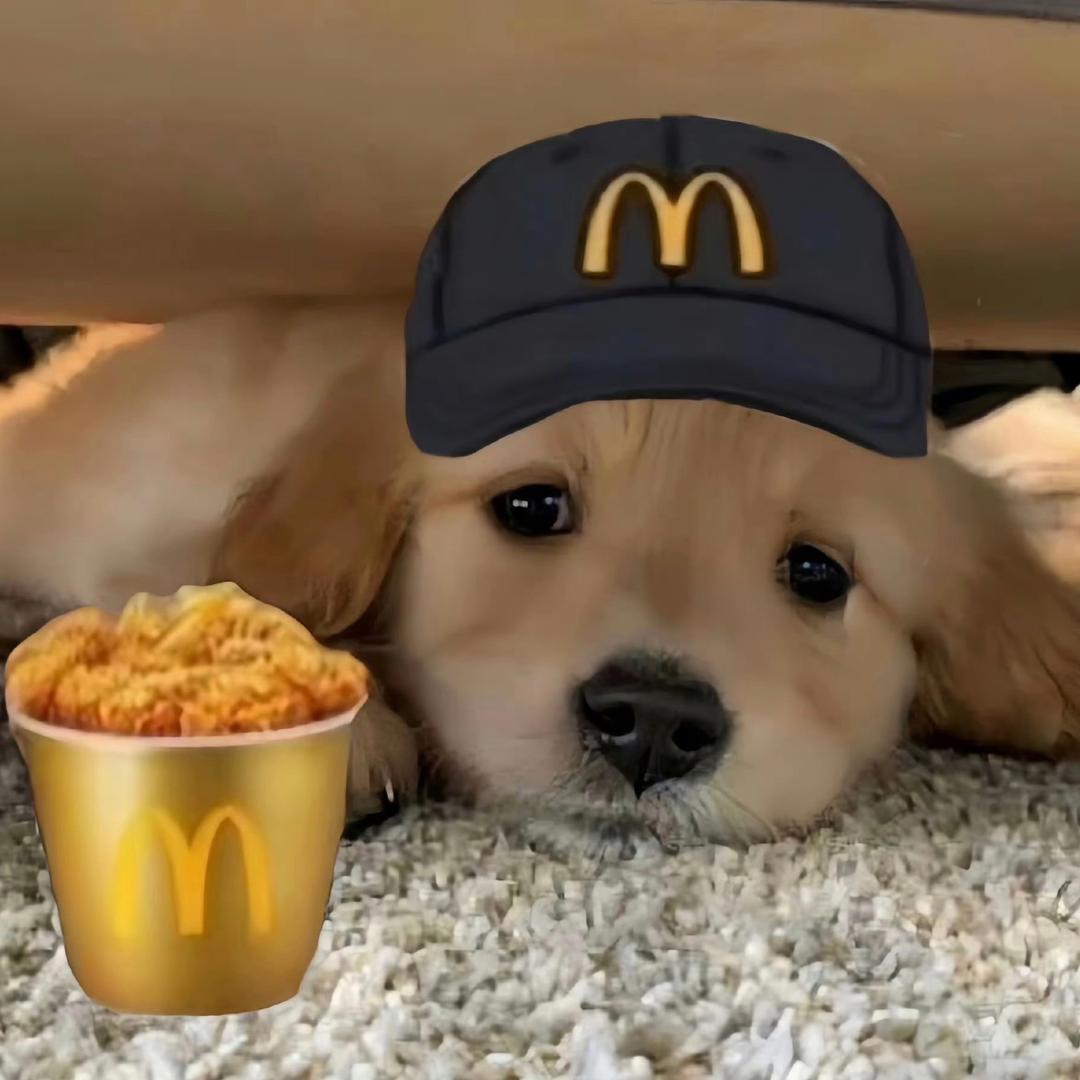 不是伟子！