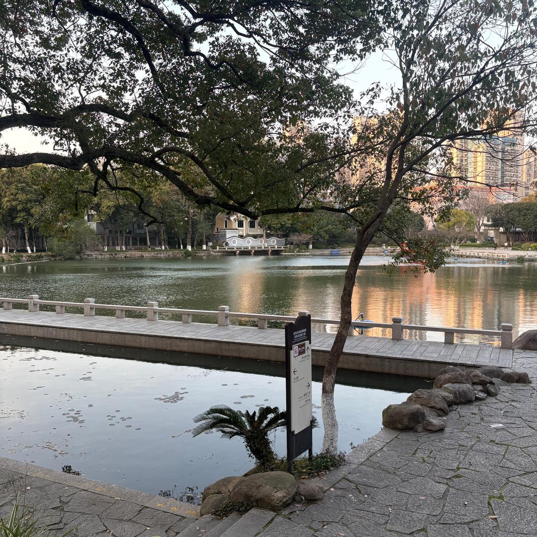 牙齿管家貮拾陆🎤🎣