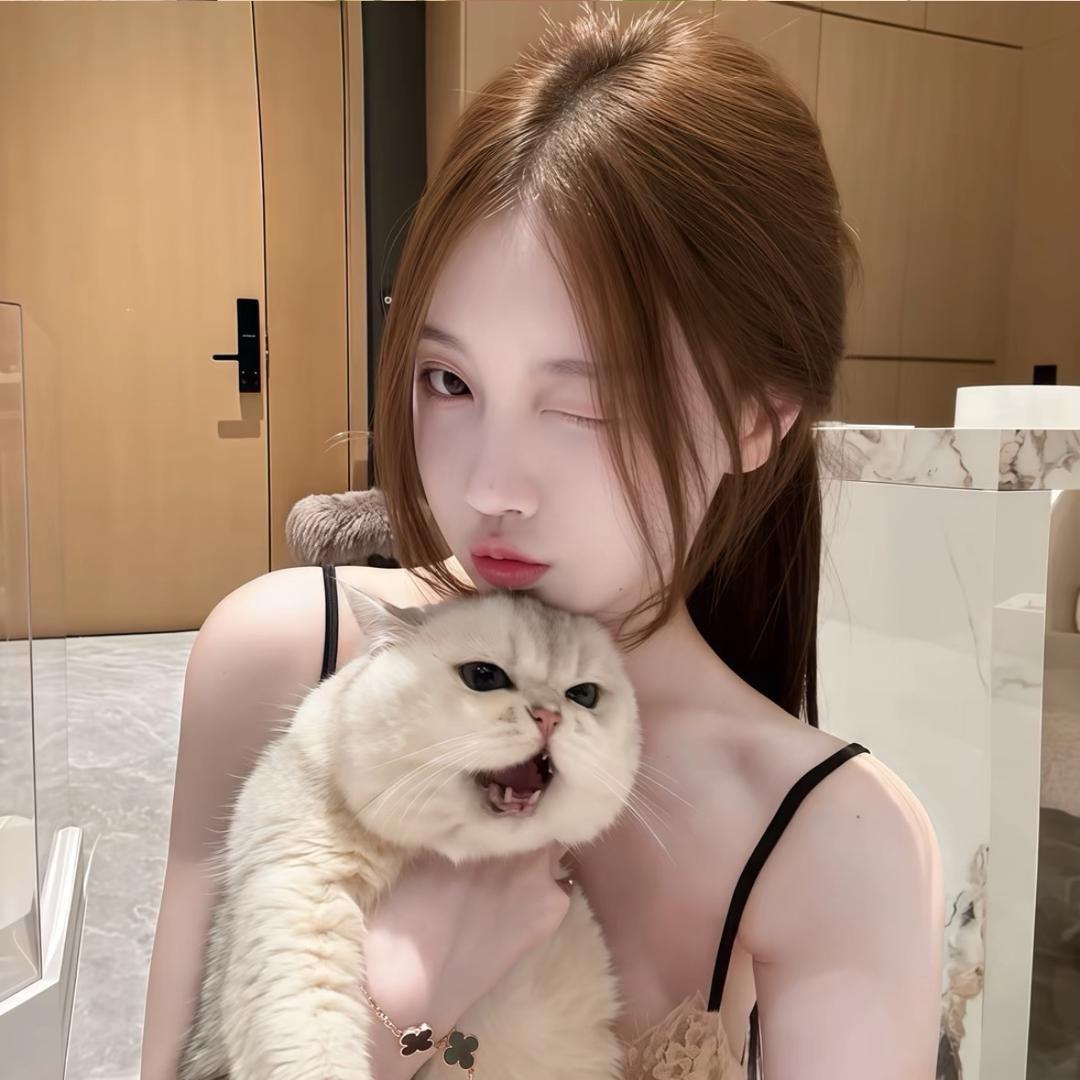 猫猫🖤🐈‍⬛