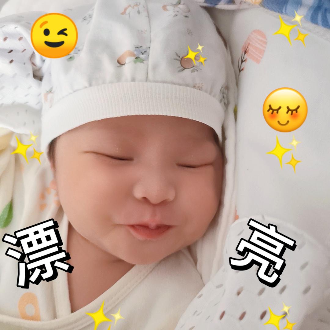 小橙子多肉园艺