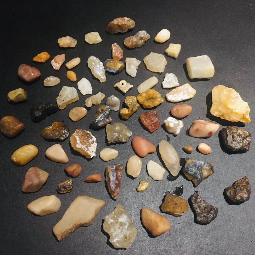 天津海钓在路上…