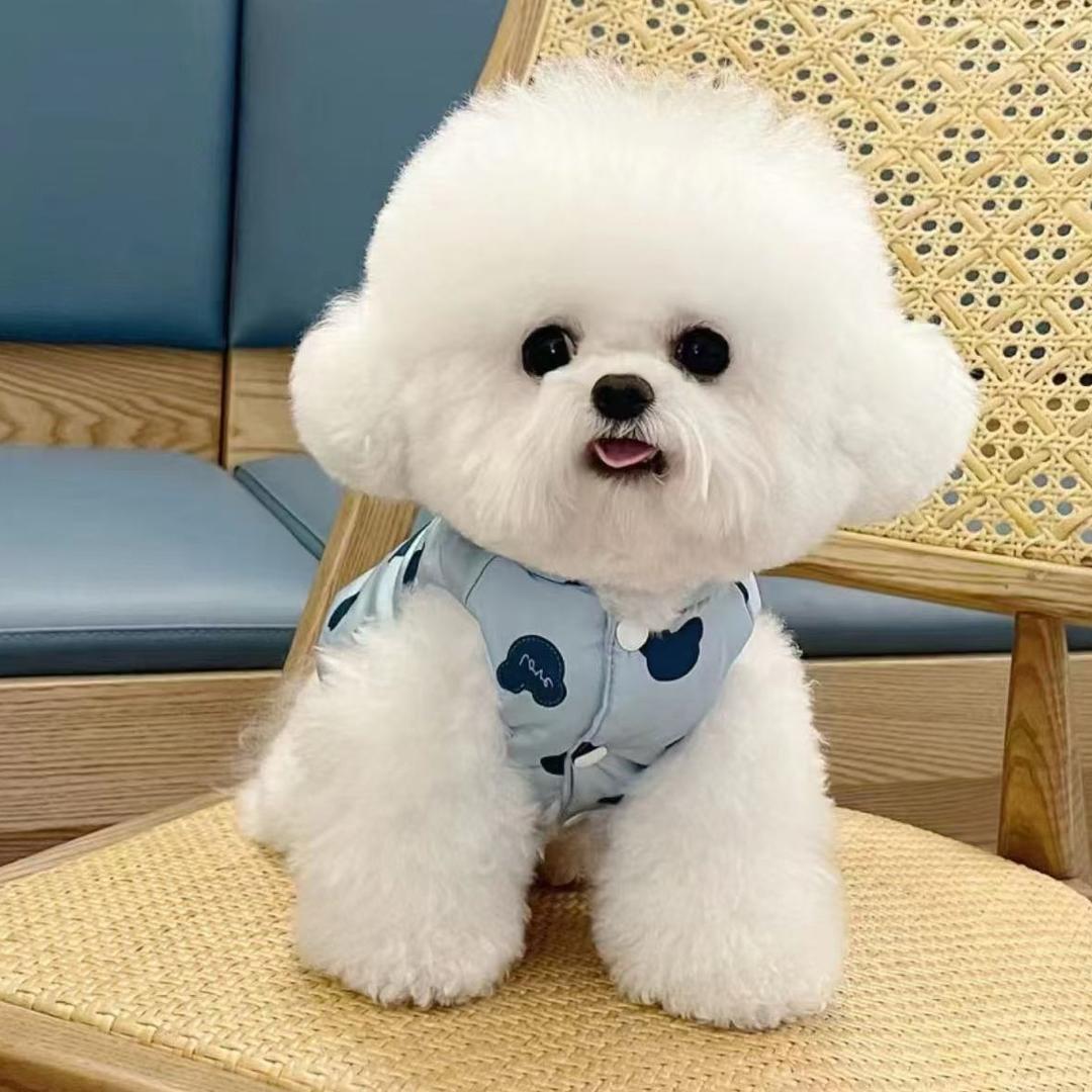元元萌宠🐶