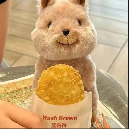 悲伤的烧鸡翼（见过陈奕迅版）