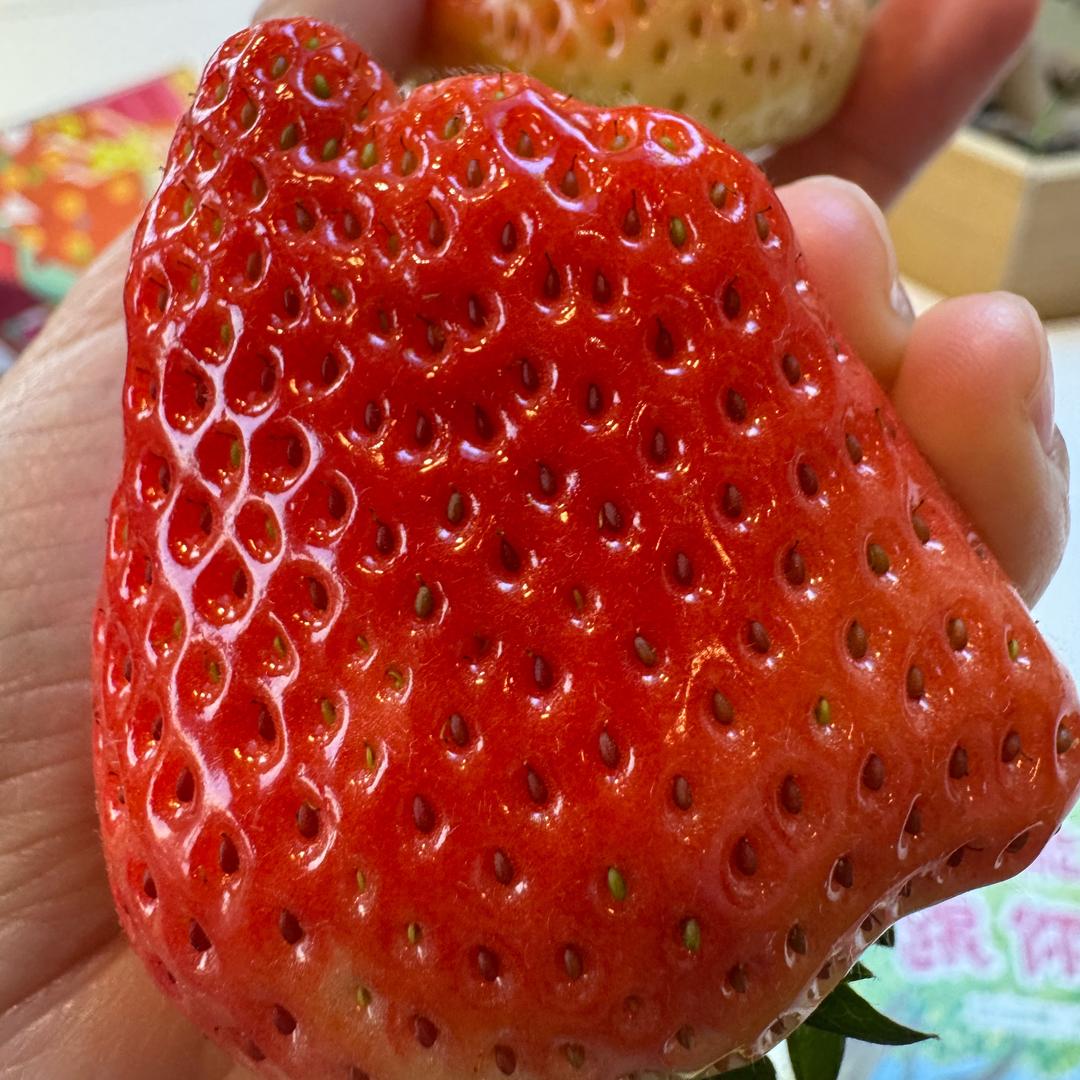 一颗大草莓