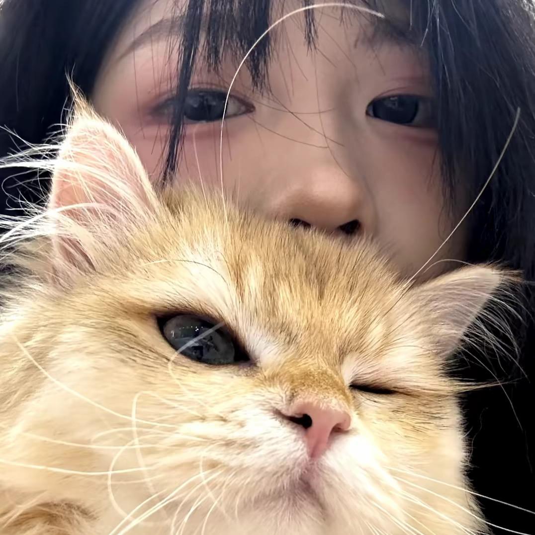糊涂笨小猫.
