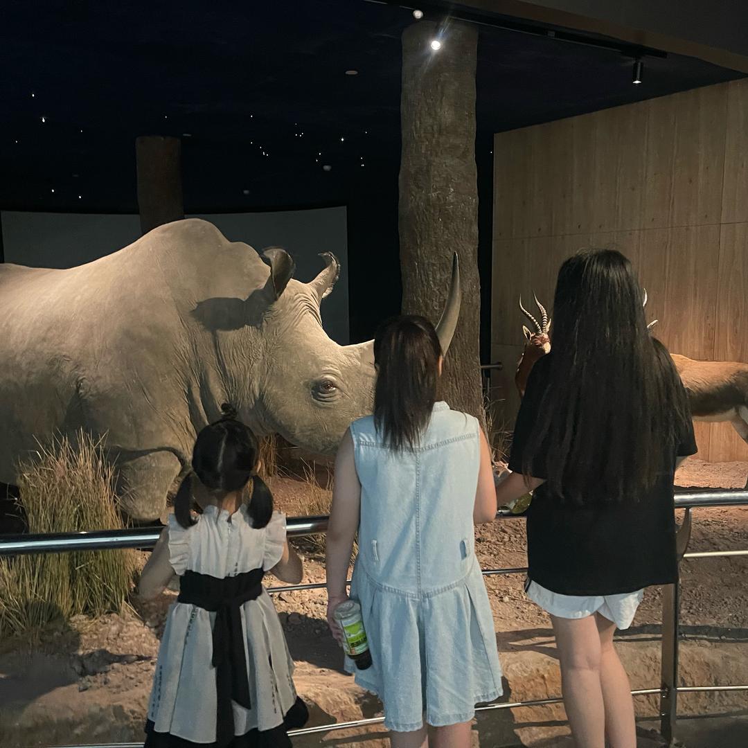 伟杰五金建材水暖经营部(金岸春天店)昆明市荞苓卫浴铺