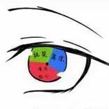 八木