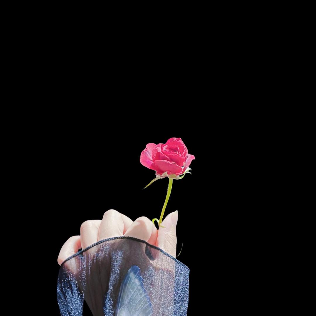 🍀Ｚｚｚｚｏｅ、