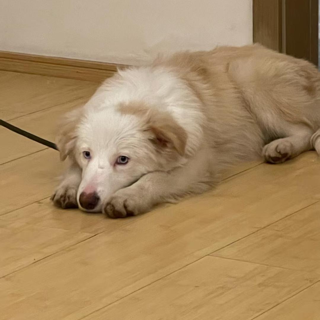¹⁰号信箱的邮件