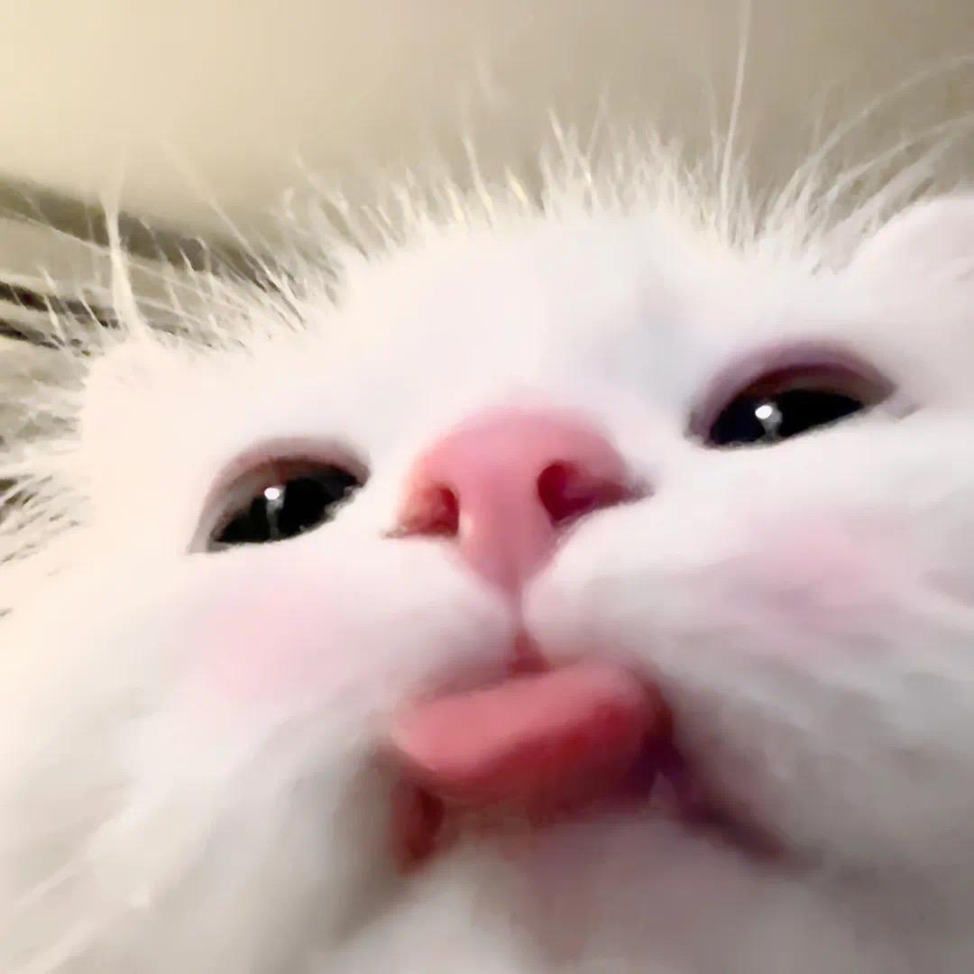青睐