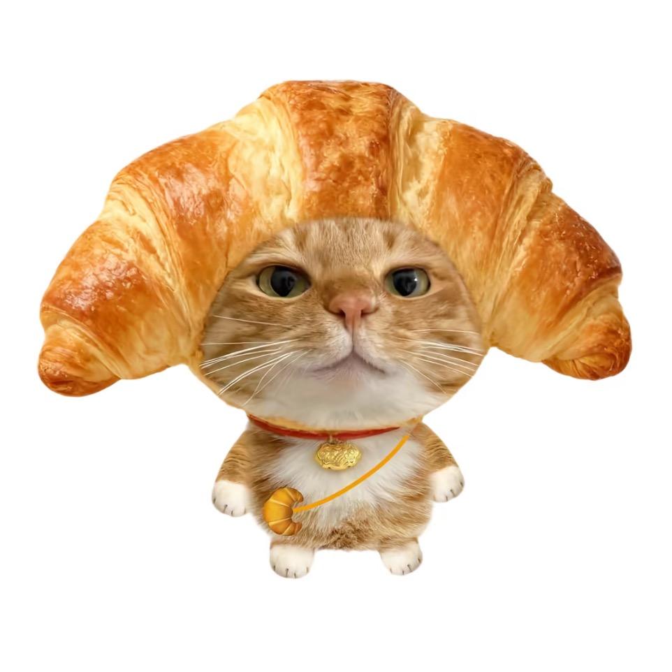 网恋被骗三百玫瑰