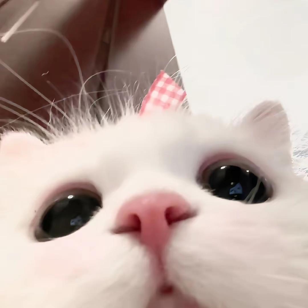 小结巴 ㅤ     ㅤ
