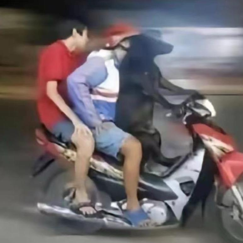 开朗哥