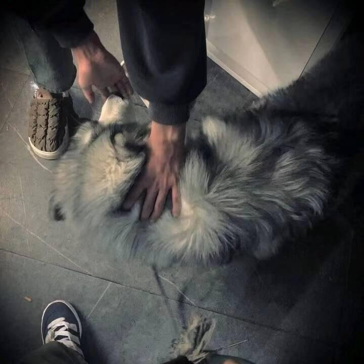 如果你也听郑润泽