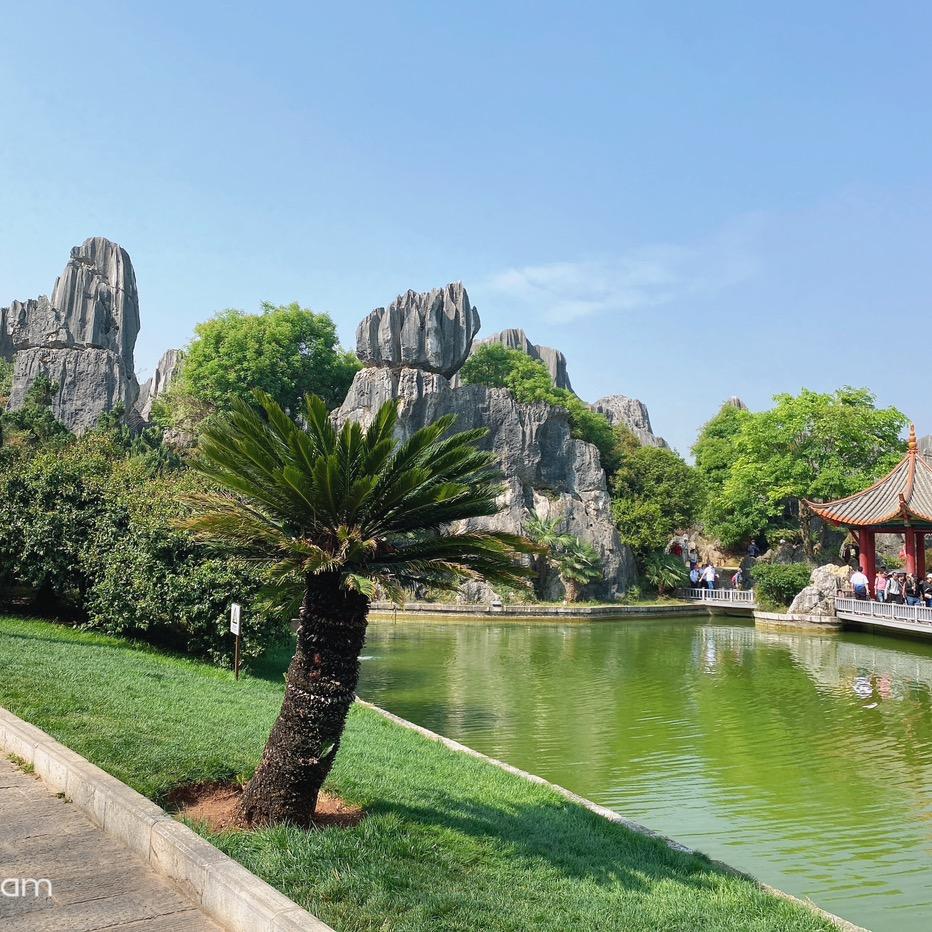 鑫宝杨宝