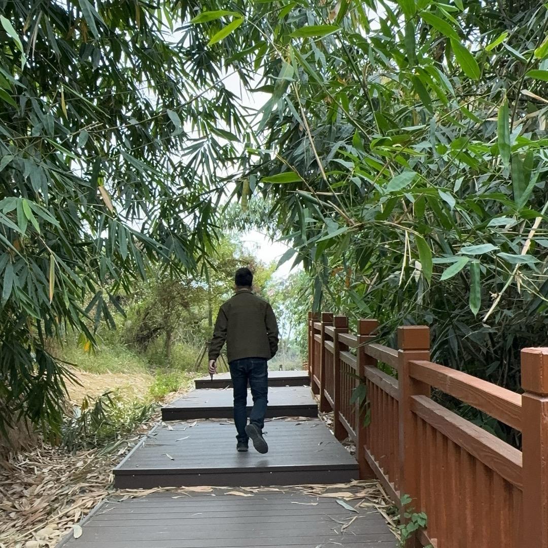 山室听雨