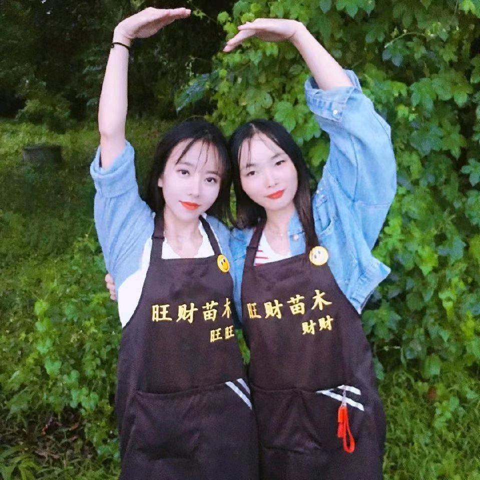 旺财苗木