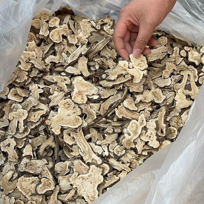 专业白术1-2年