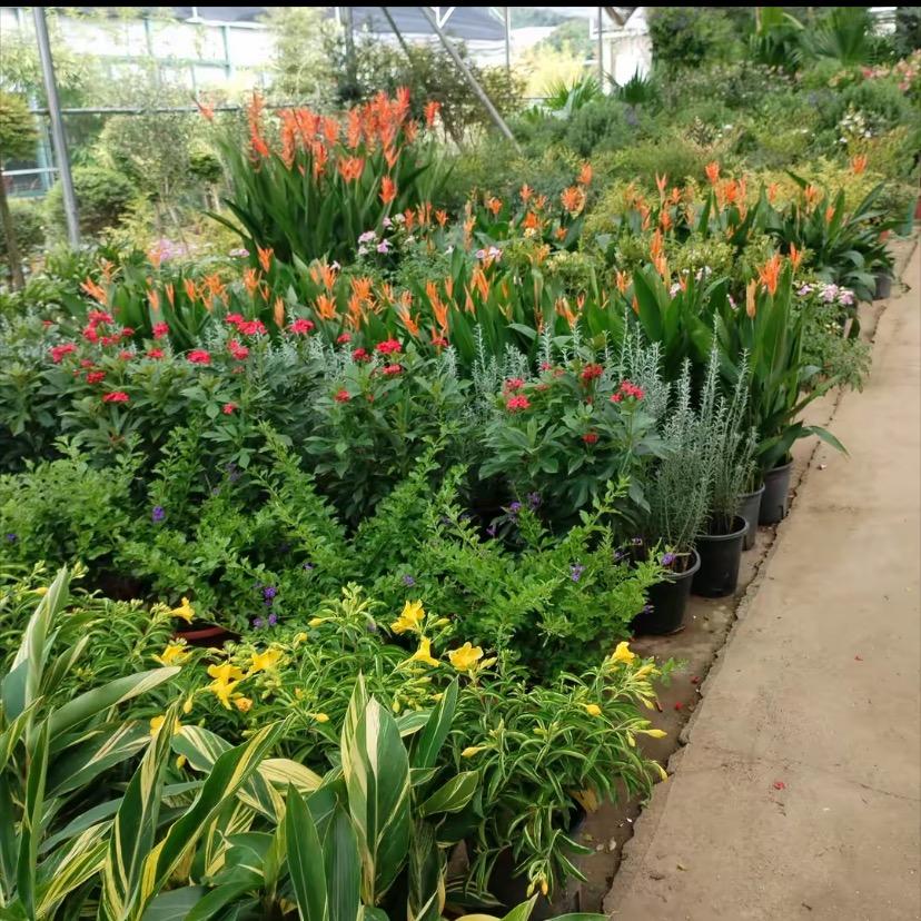 润浩农业贝膳美