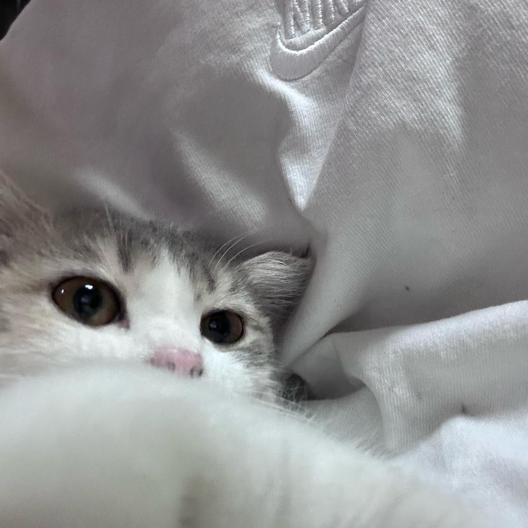 八月是小甜妹儿🌸