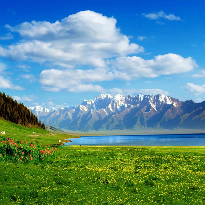 膳必选电子商务授权号