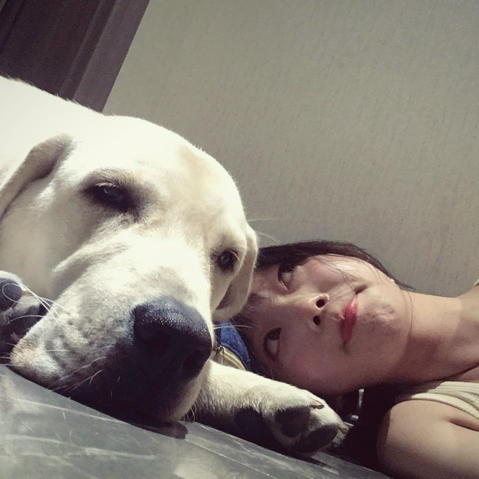 不是辅助的瑶妹