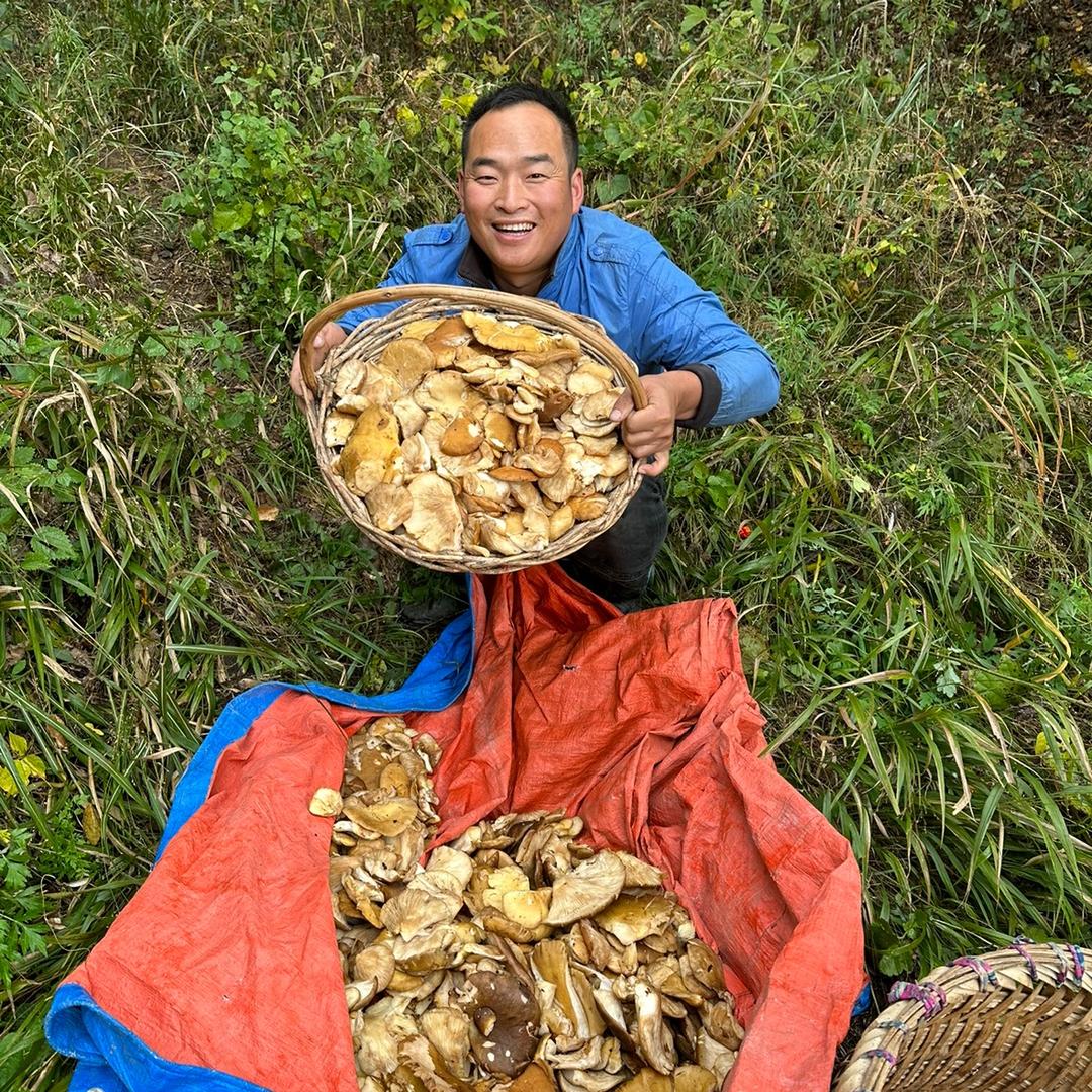 小龙家乡特产