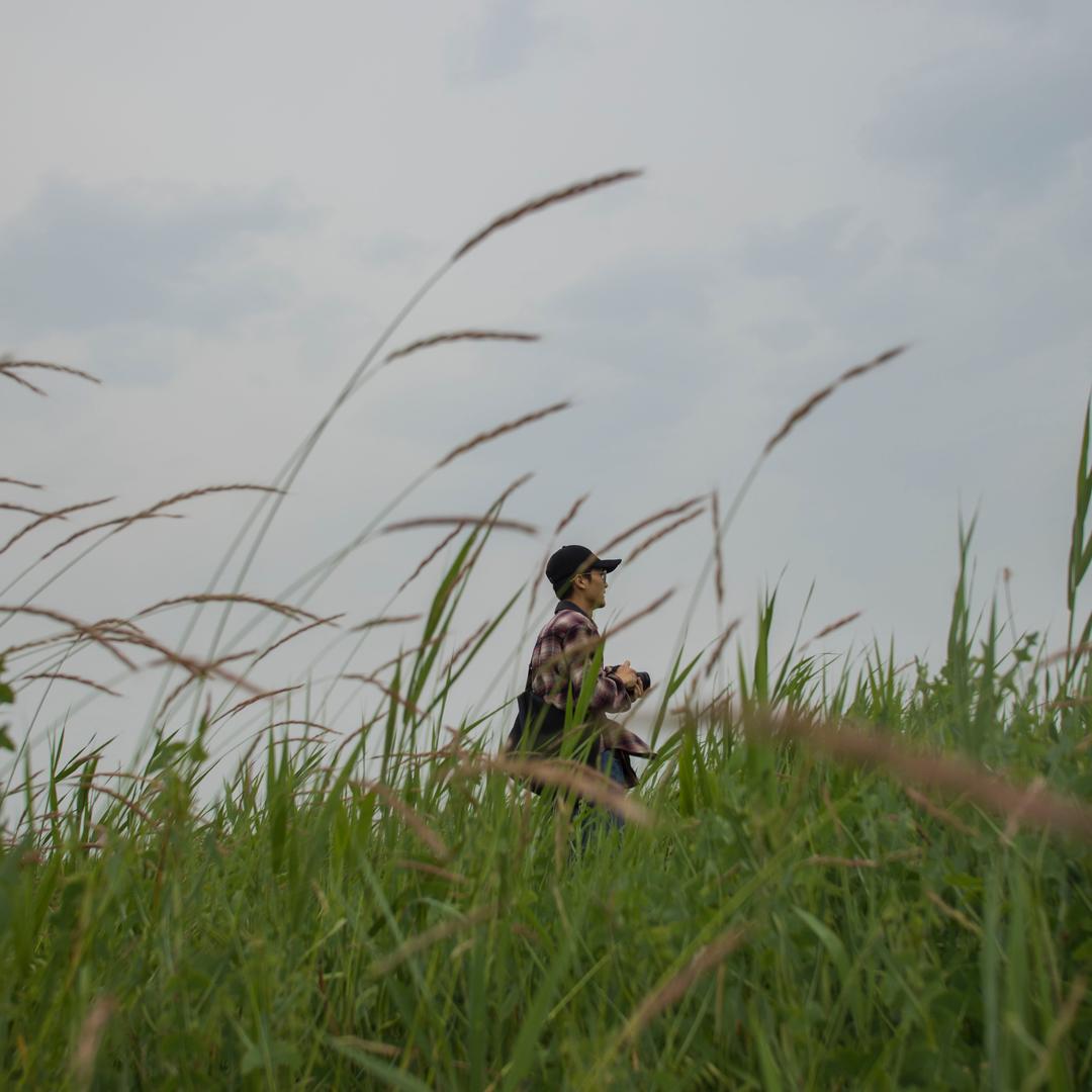 口轮炸鸡速写🍗
