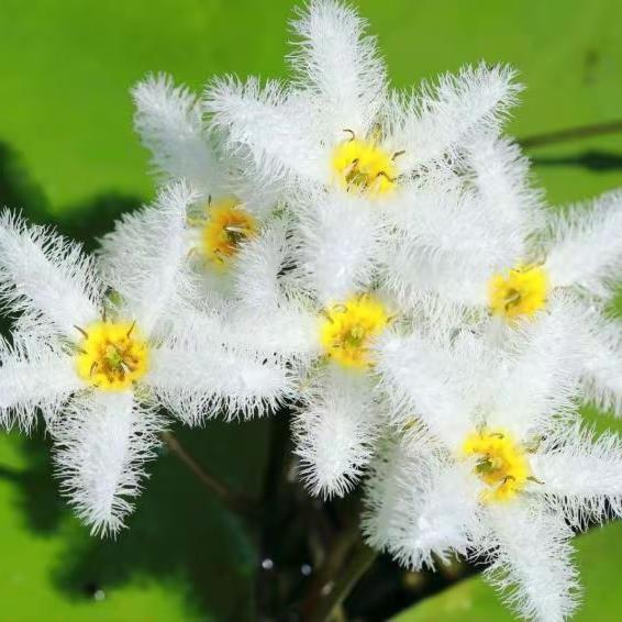 批楚满百货零售店