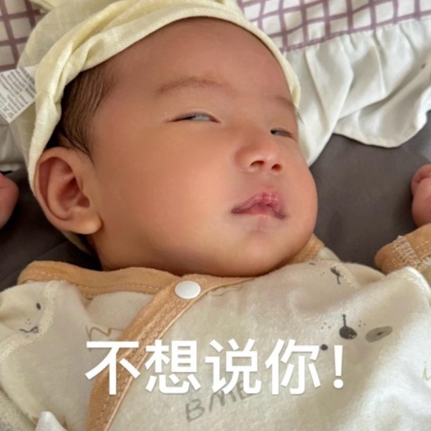 小鸟胃🫕