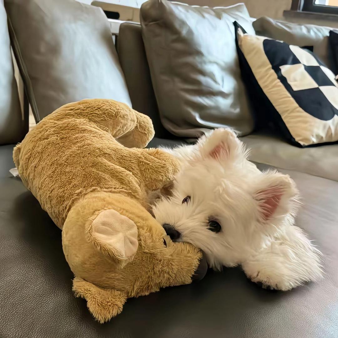 温温的优选小店