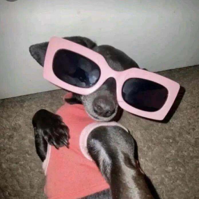 楠咩咩.（吃饱版）