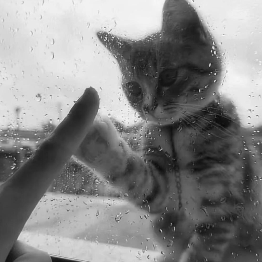 ડꪊꪕ໌້ᮨꦿ๑҉