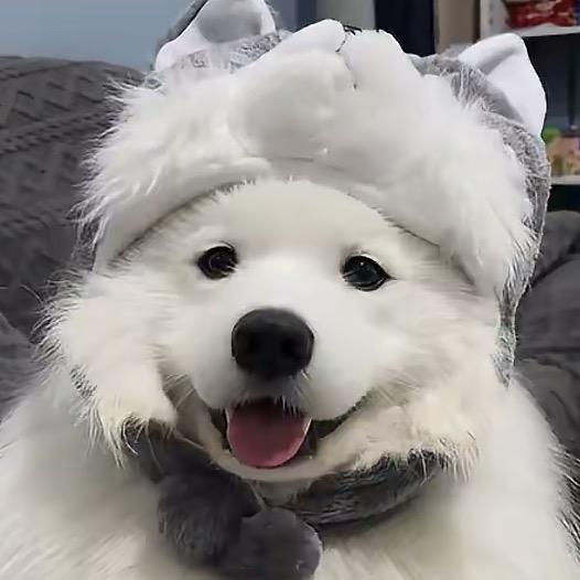 不知名的我.