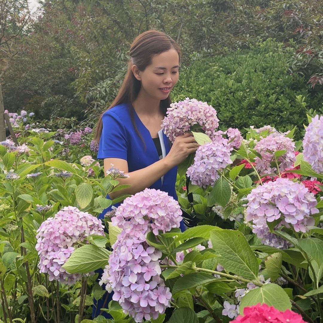 芳芳