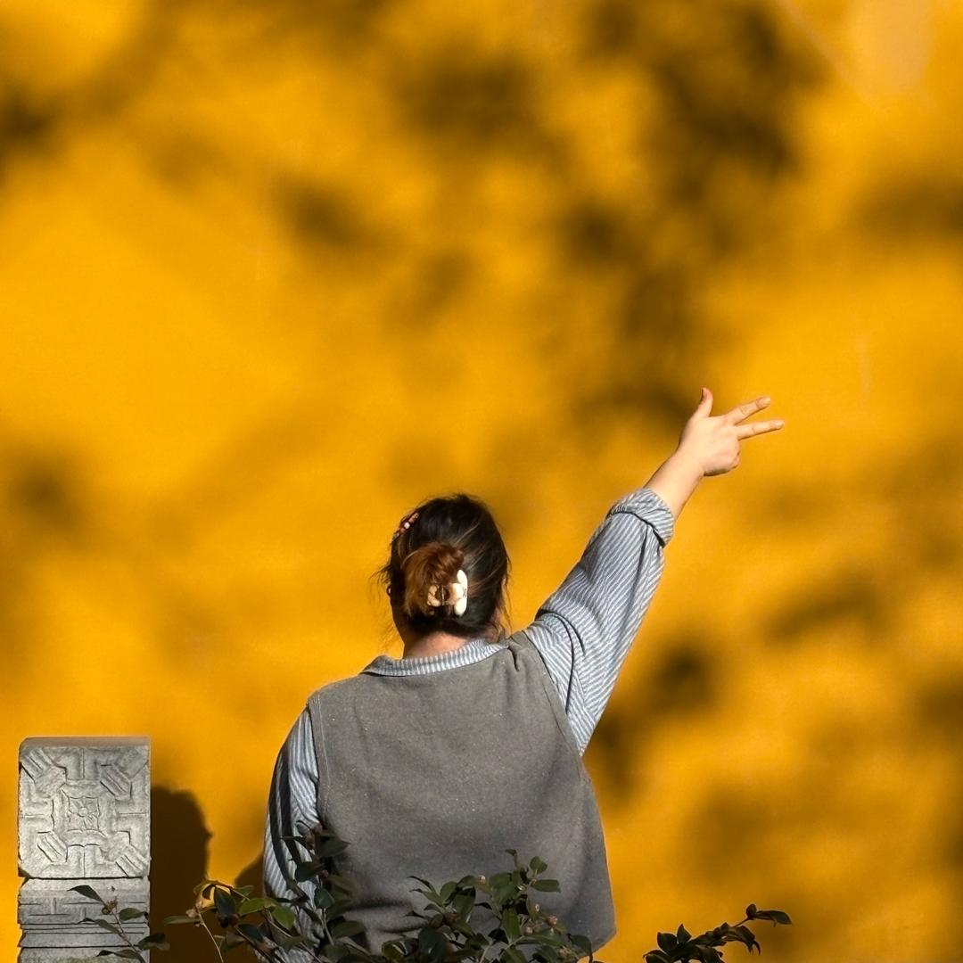 好运莲莲🛴爱溜达✧ෆ◞◟˃̶̤⌄˂̶̤