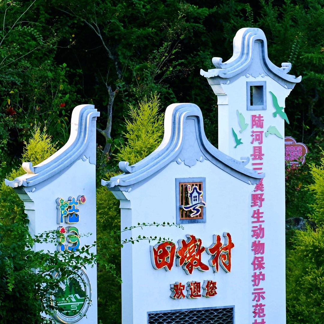田墩供销