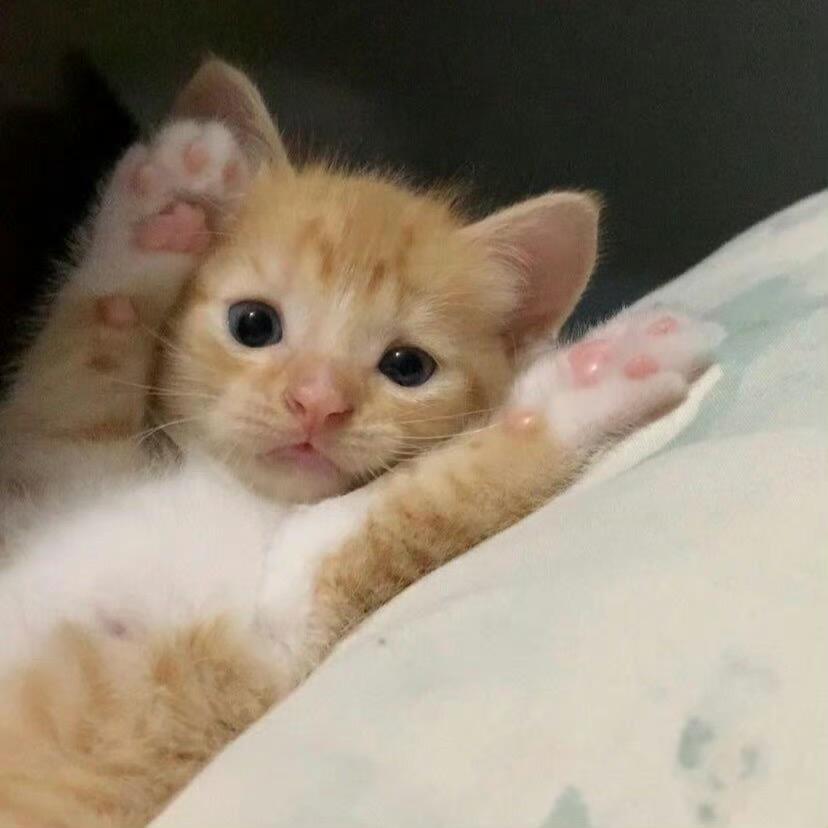蒽
