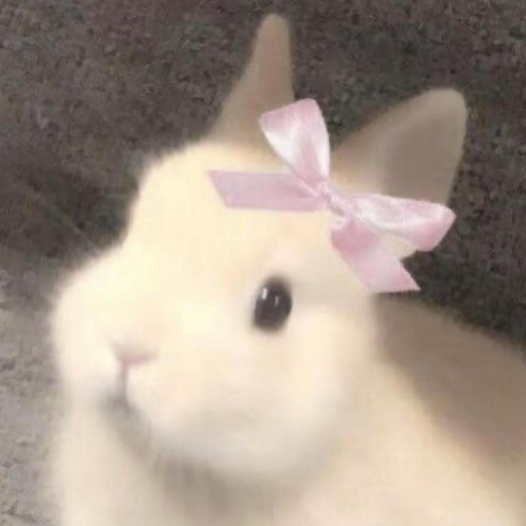 伍只羊羊🐑
