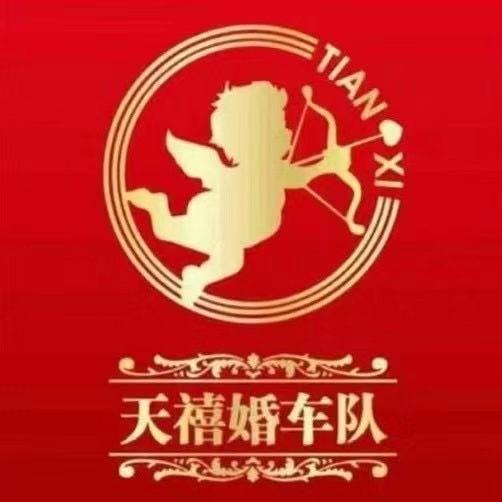 石家庄天禧婚车