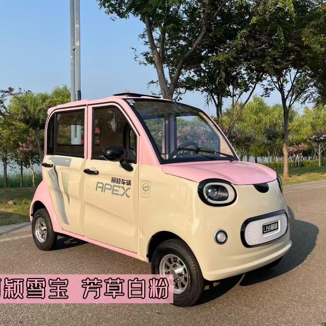 徐州永久新能源三四轮电动车1号