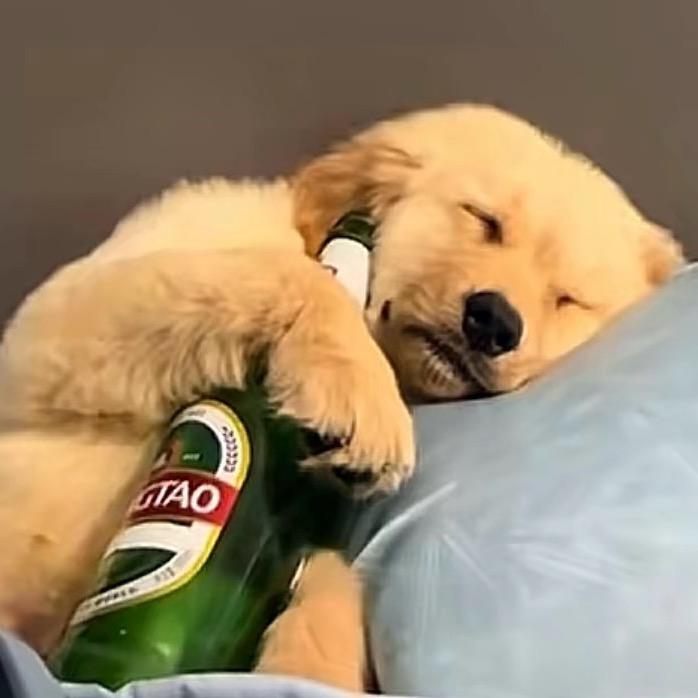 ......🖕🏼🖕🏼🖕🏼