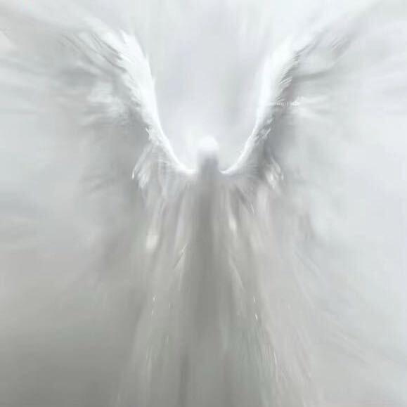 宇（三国对抗）