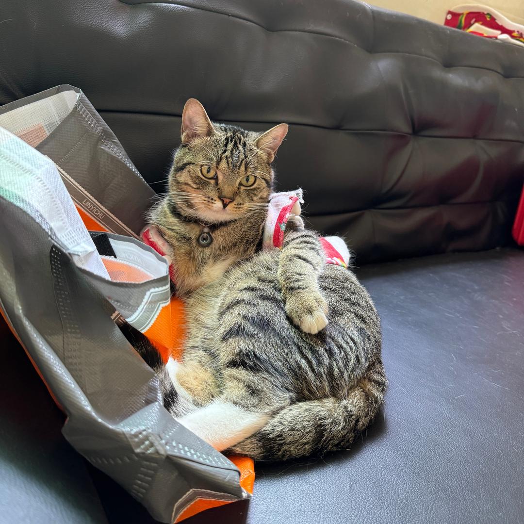 怀化首家-金宝宝烤炉鸡蛋灌饼