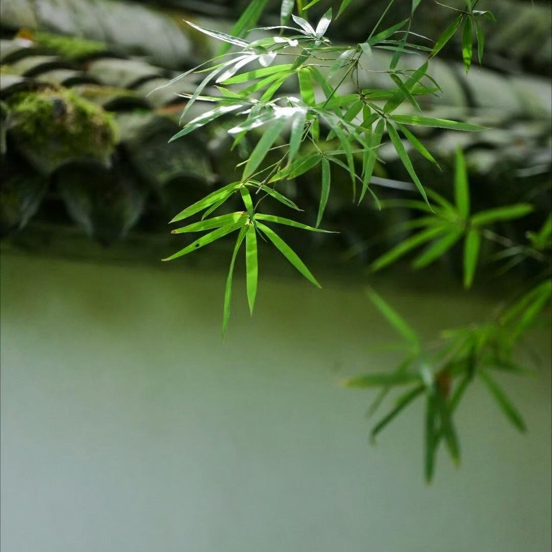 可乐宝