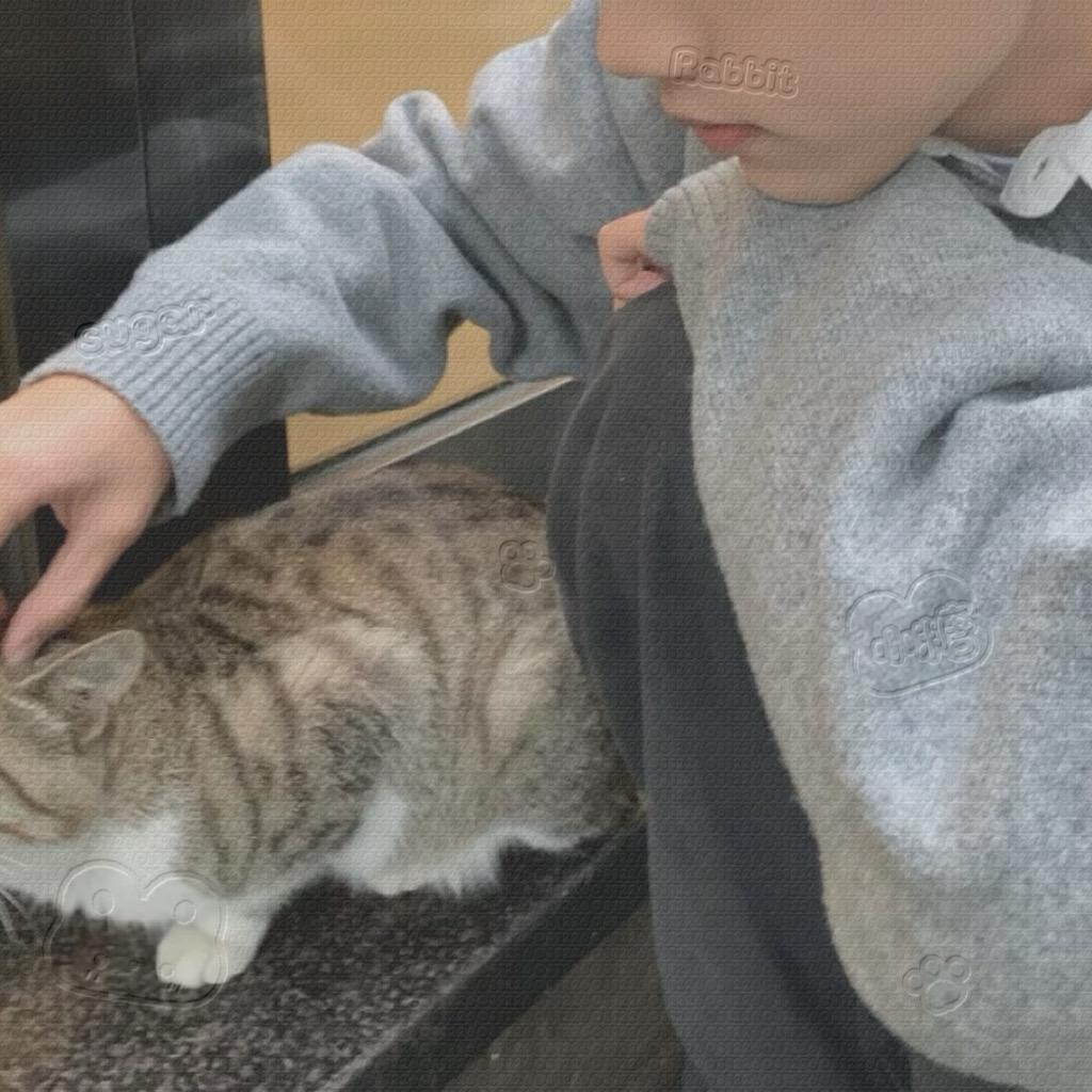 招人烦（徳吃电竞）